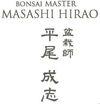 [ Bonsai Master  Masashi Hirao ] [ 盆栽師 平尾成志]